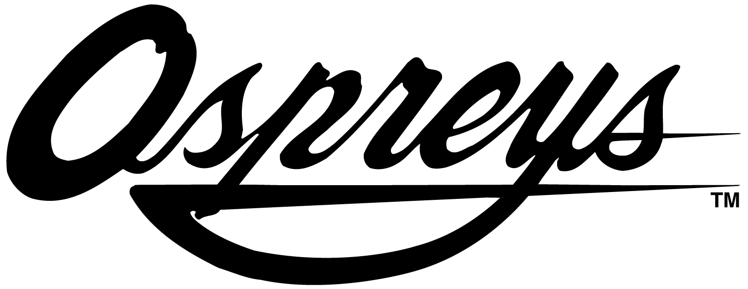 UNF Ospreys 0-1998 Wordmark Logo iron on transfers for clothing